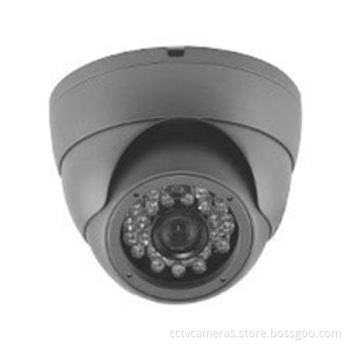 Fixed Lens Dome IP Camera R-40d-Trsee-CCTV-Camera
